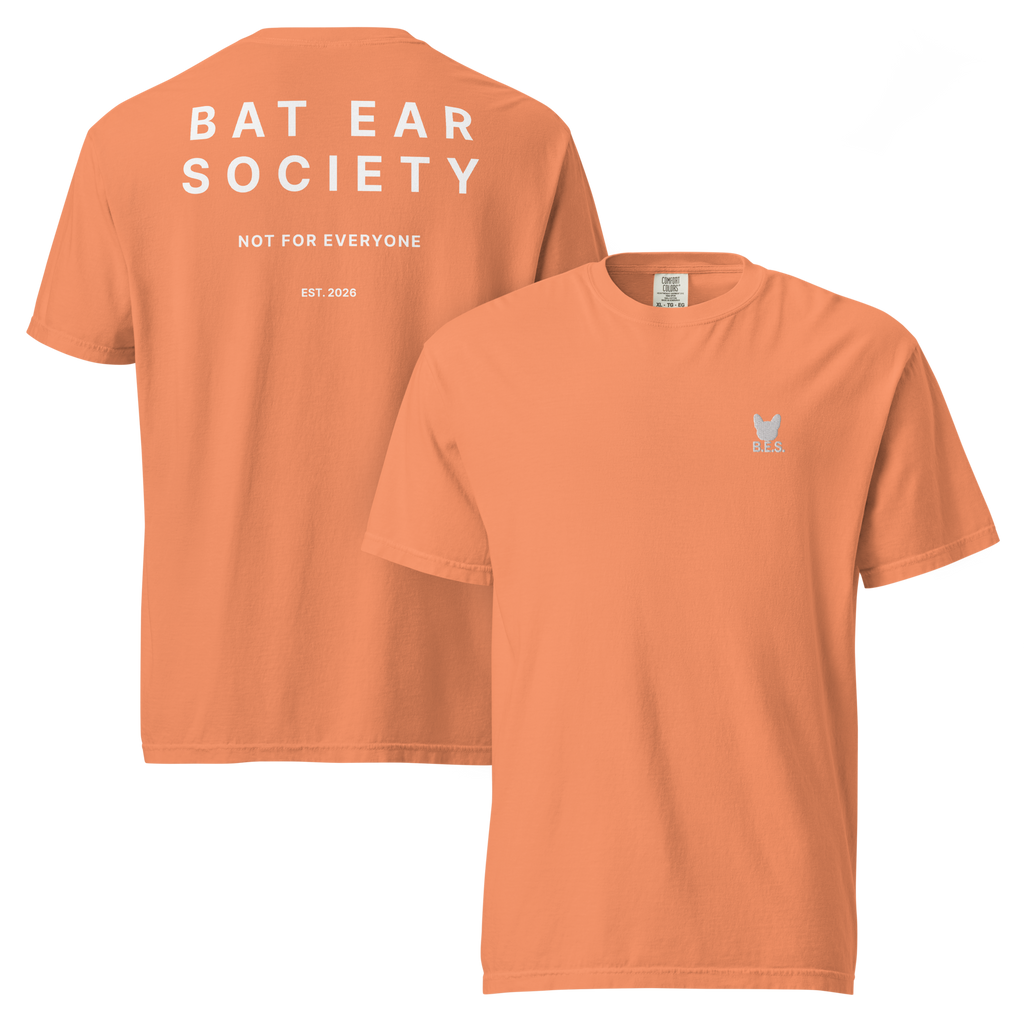 B.E.S. Signature Logo Tee mit Backprint