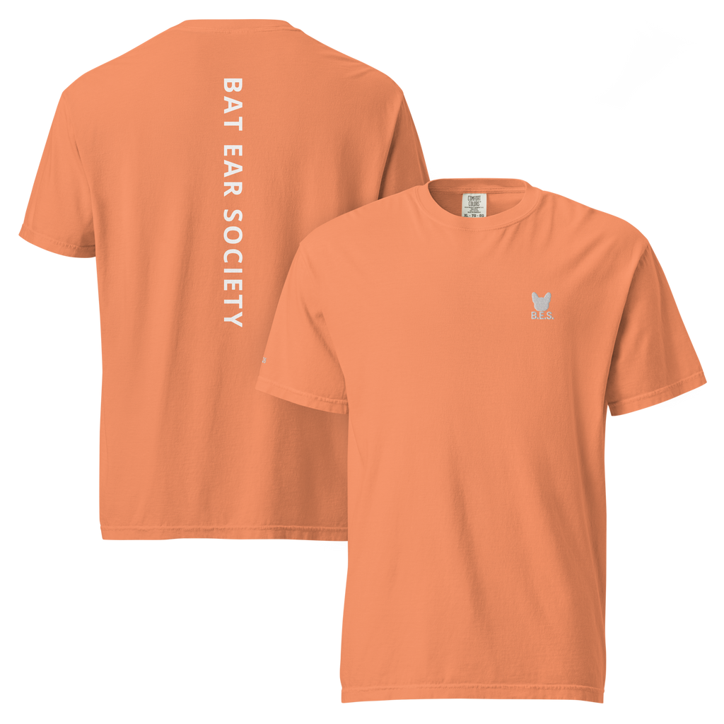 B.E.S. Signature Logo Tee mit Backprint